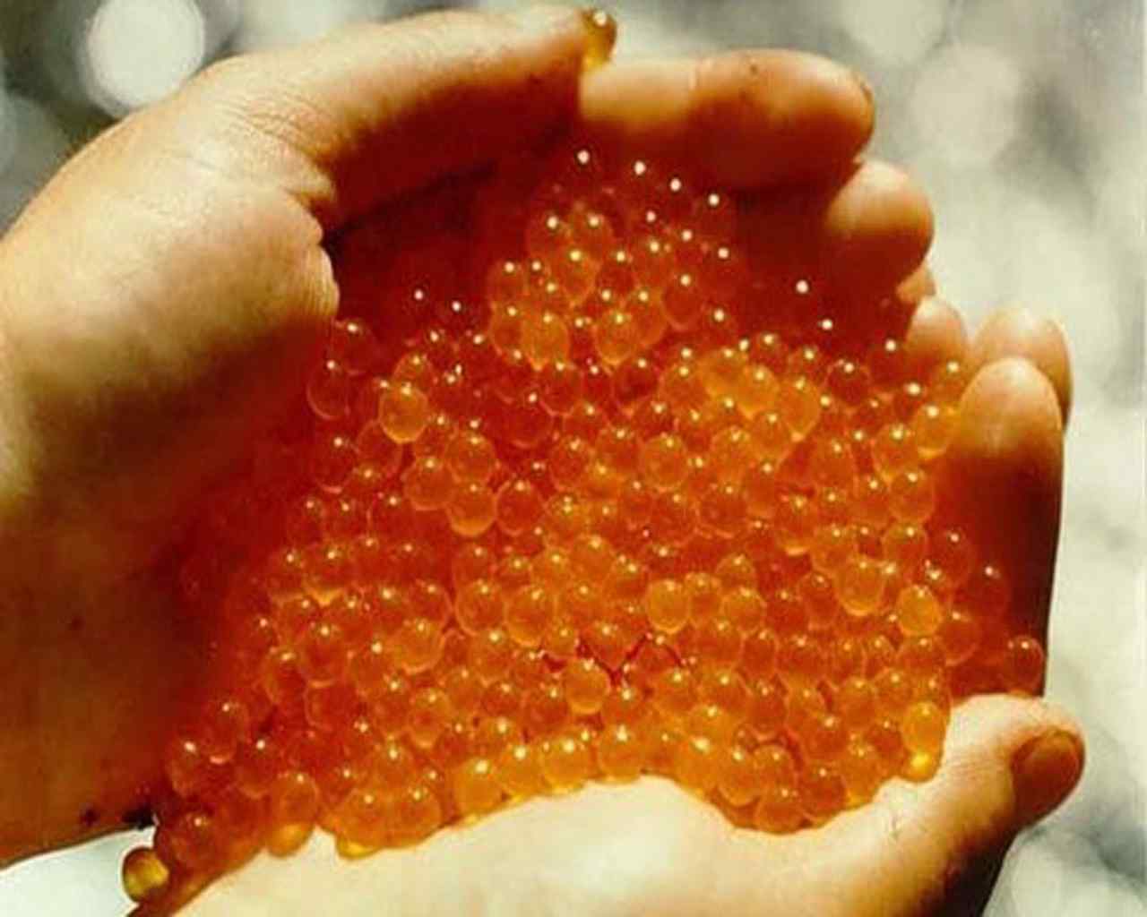Caviar rouge naturel quinnat Lemberg Allemagne