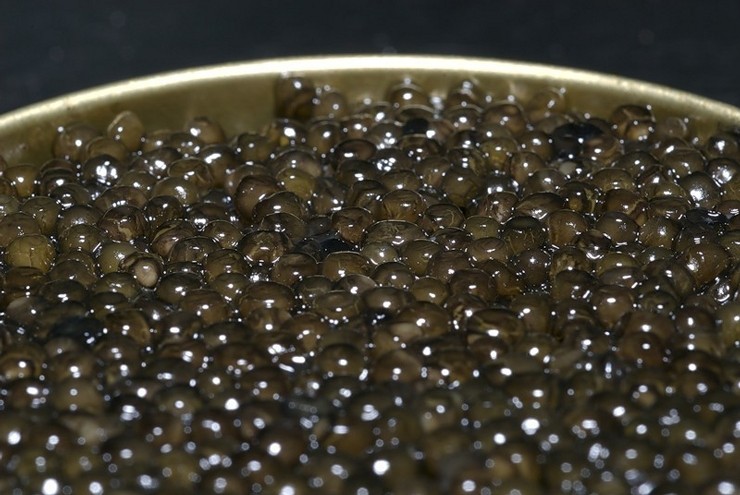 Caviar d'esturgeon étoilé noir TM Lemberg Allemagn